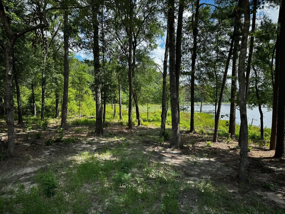 An County Road 314 Frankston, TX 75763