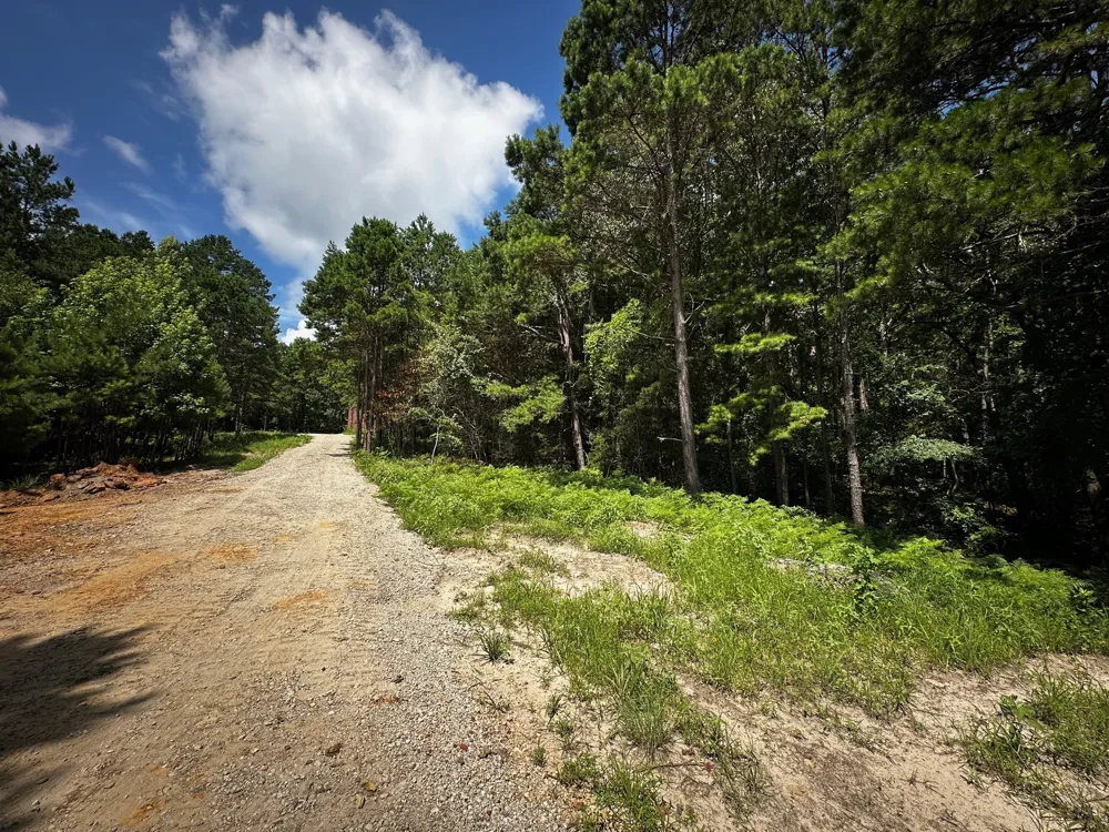 An County Road 314 Frankston, TX 75763