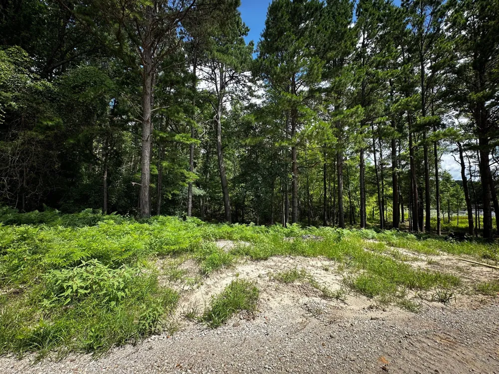 An County Road 314 Frankston, TX 75763
