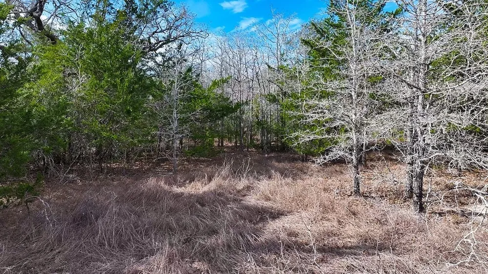 Wetjen LN. West Point, TX 78963