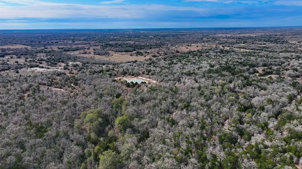 Wetjen LN. West Point, TX 78963