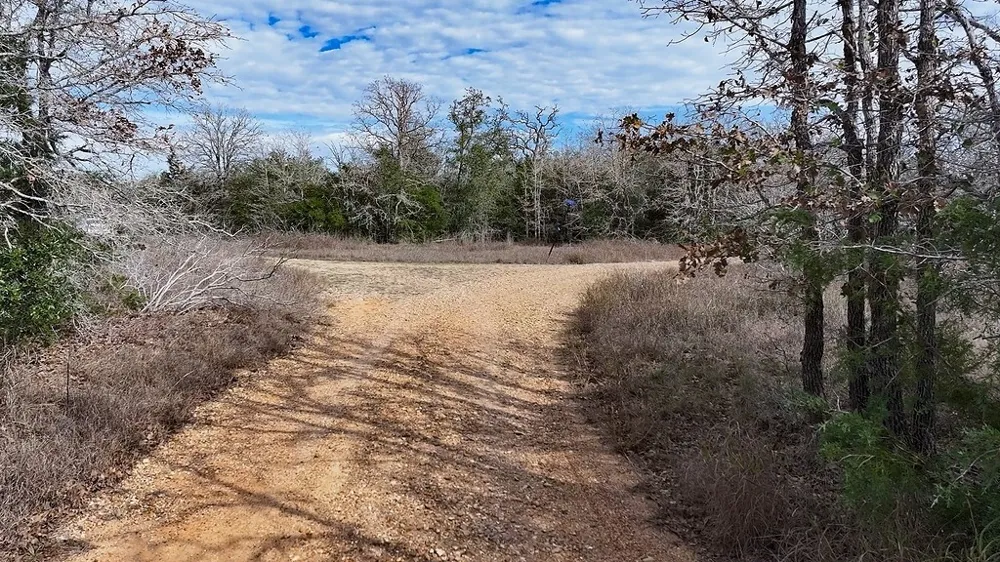 Wetjen LN. West Point, TX 78963