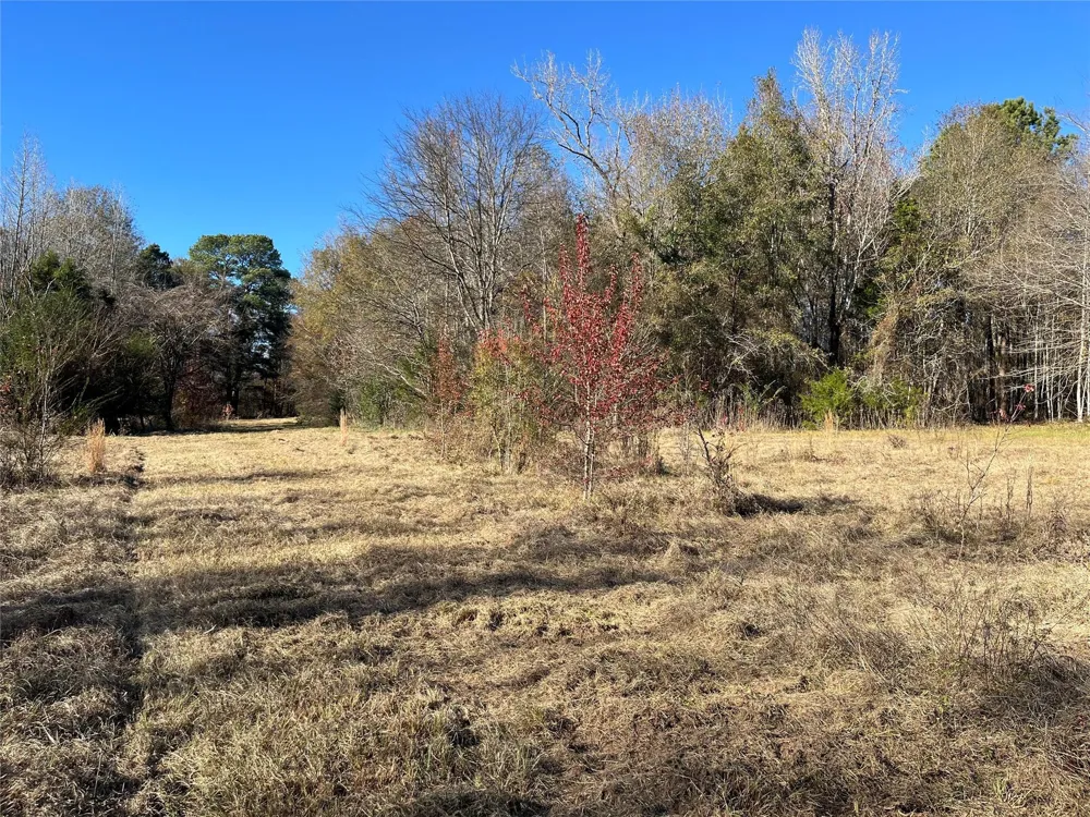 87 State Highway 135 Jacksonville, TX 75766