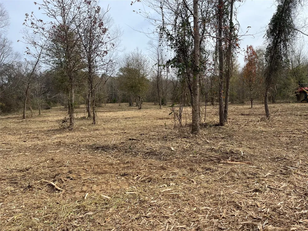 87 State Highway 135 Jacksonville, TX 75766