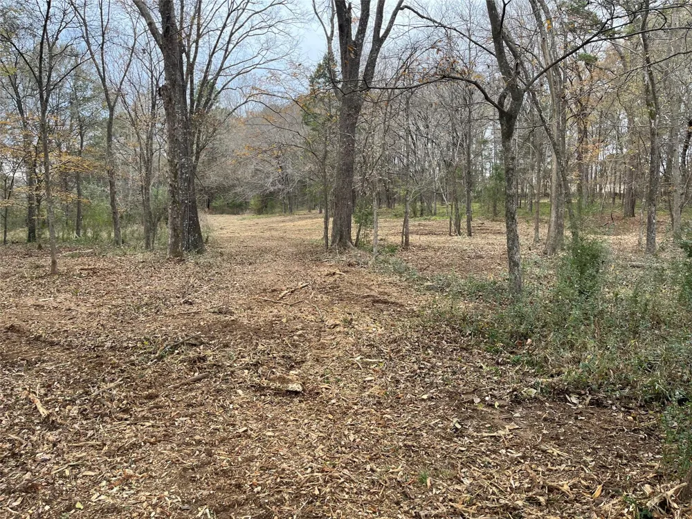 87 State Highway 135 Jacksonville, TX 75766