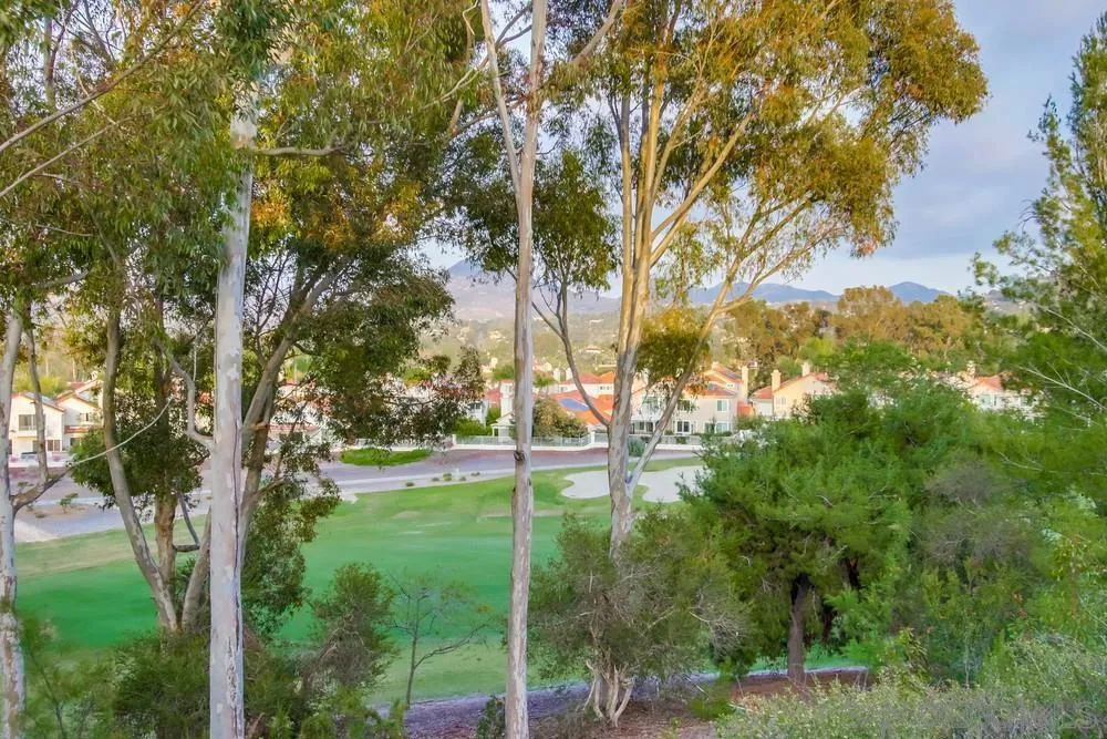 12242 Paseo Lucido #C San Diego, CA 92128