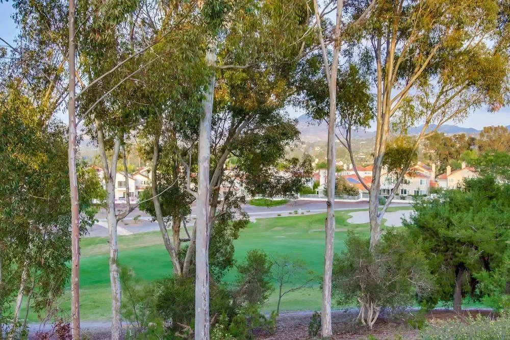12242 Paseo Lucido #C San Diego, CA 92128