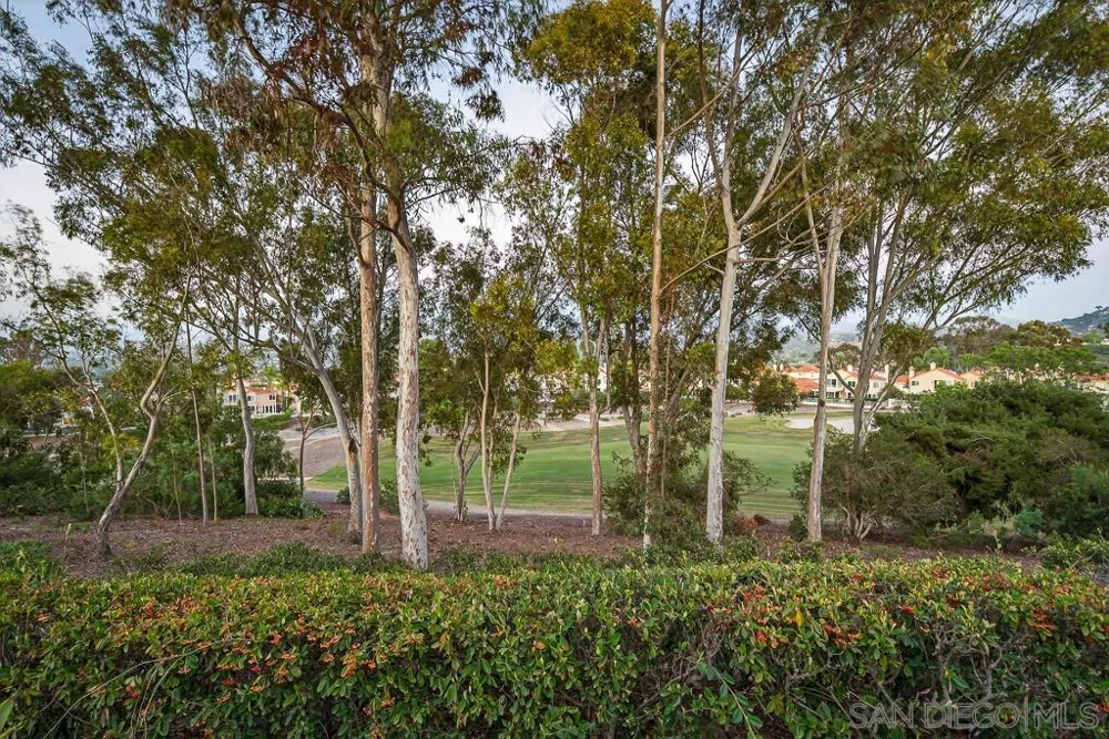 12242 Paseo Lucido #C San Diego, CA 92128