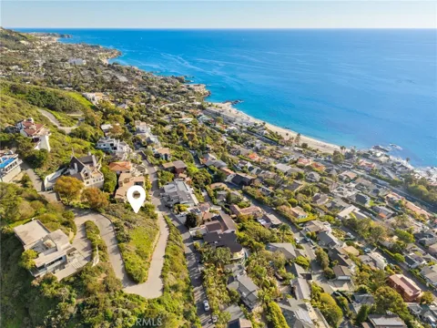 31204 Ceanothus