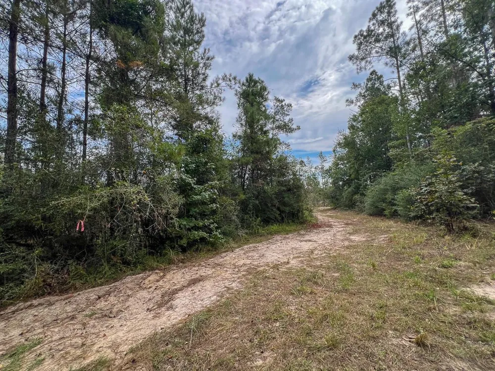 2 Fm 1416 Kirbyville, TX 75933