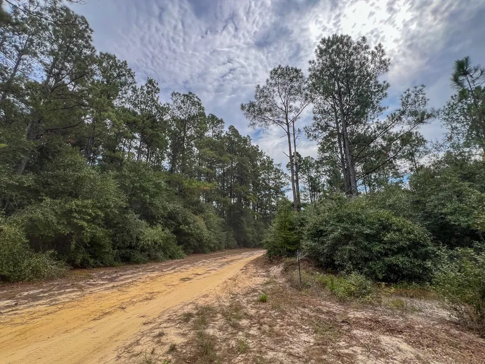 2 Fm 1416 Kirbyville, TX 75933