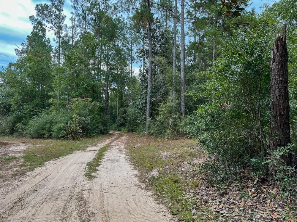 2 Fm 1416 Kirbyville, TX 75933