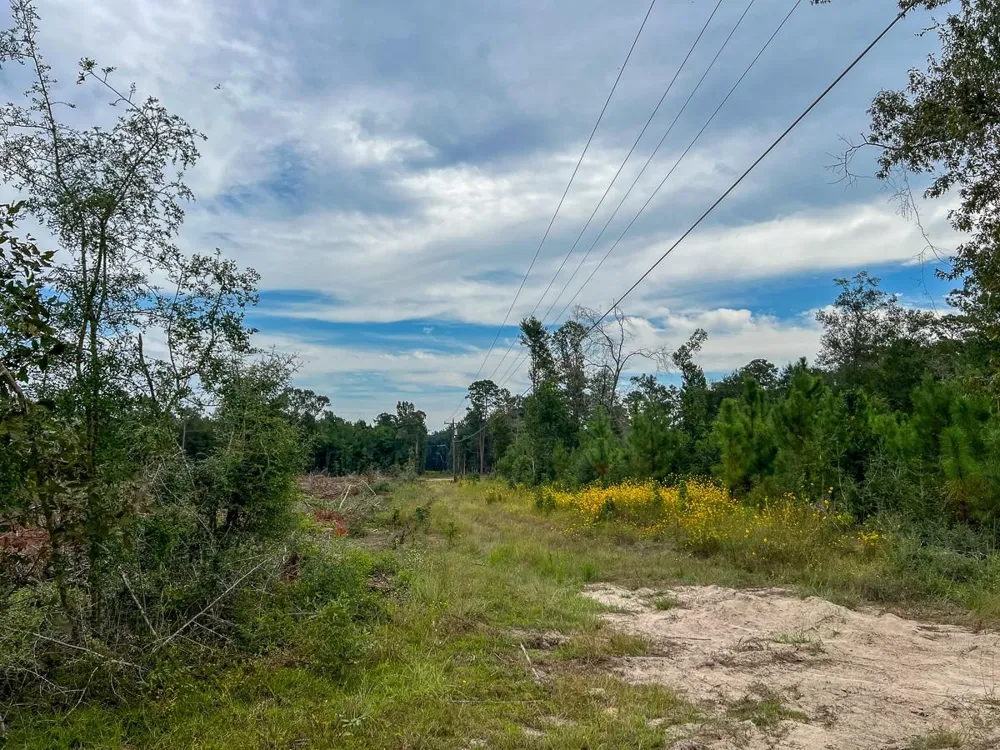 2 Fm 1416 Kirbyville, TX 75933