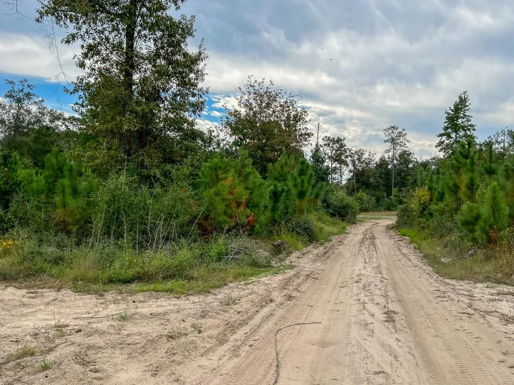 2 Fm 1416 Kirbyville, TX 75933
