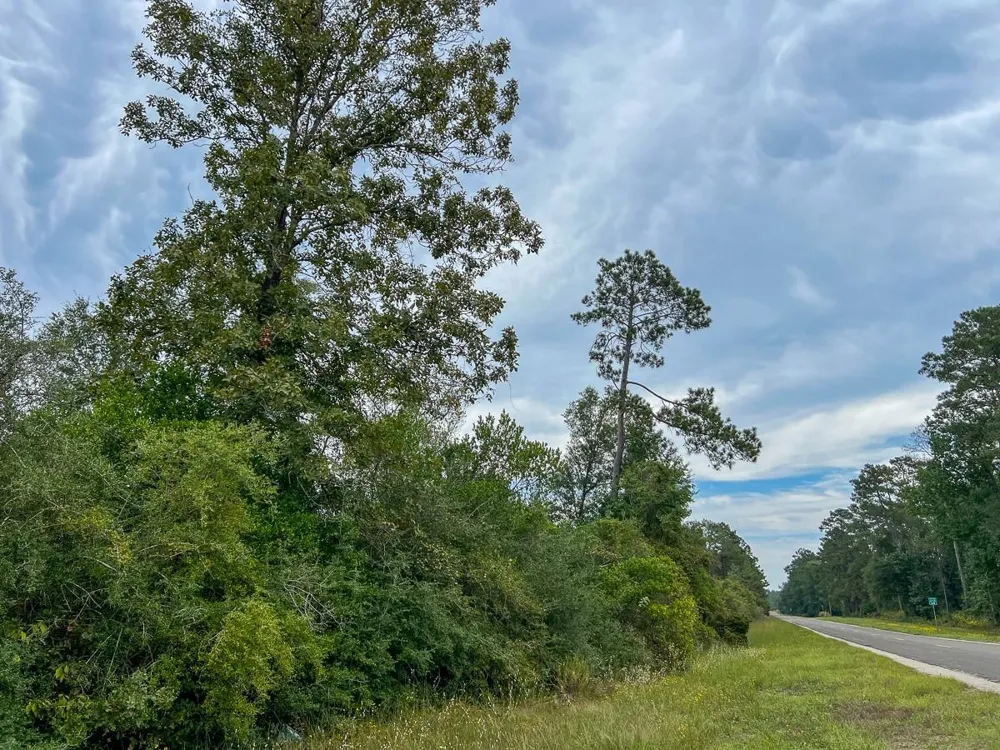 2 Fm 1416 Kirbyville, TX 75933