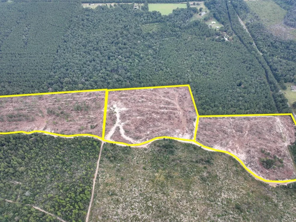 2 Fm 1416 Kirbyville, TX 75933