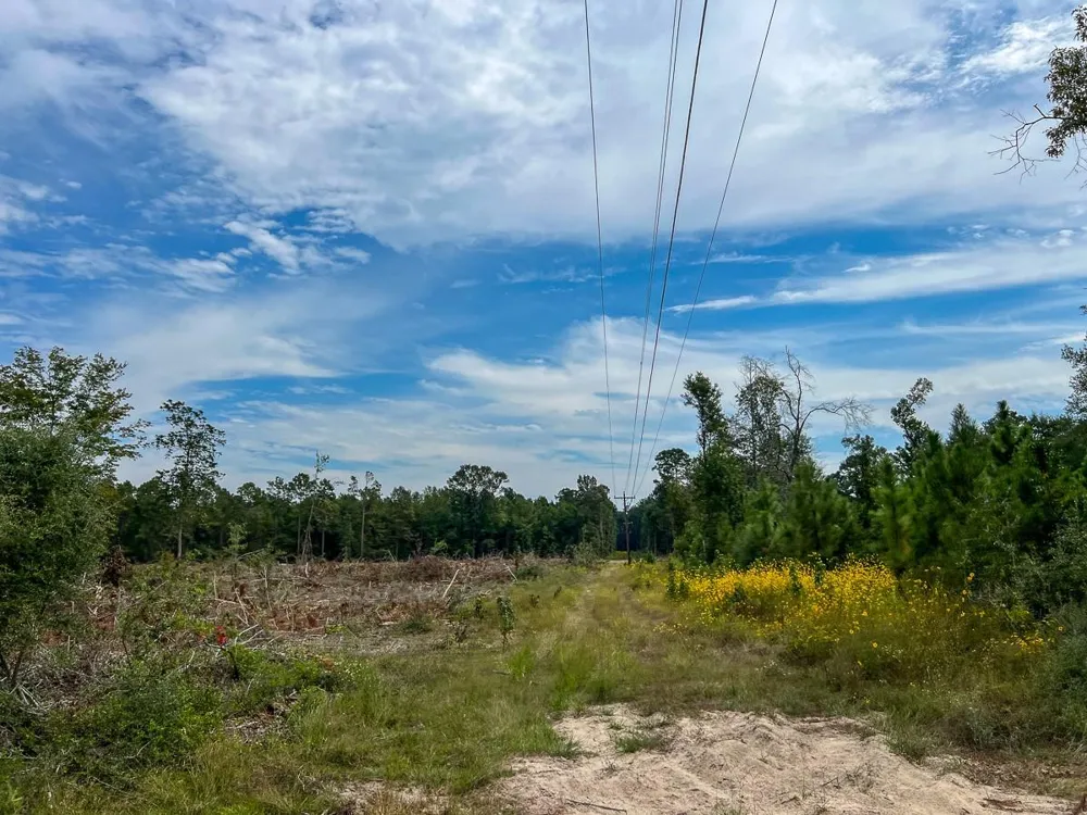 2 Fm 1416 Kirbyville, TX 75933