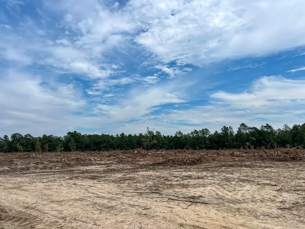 2 Fm 1416 Kirbyville, TX 75933