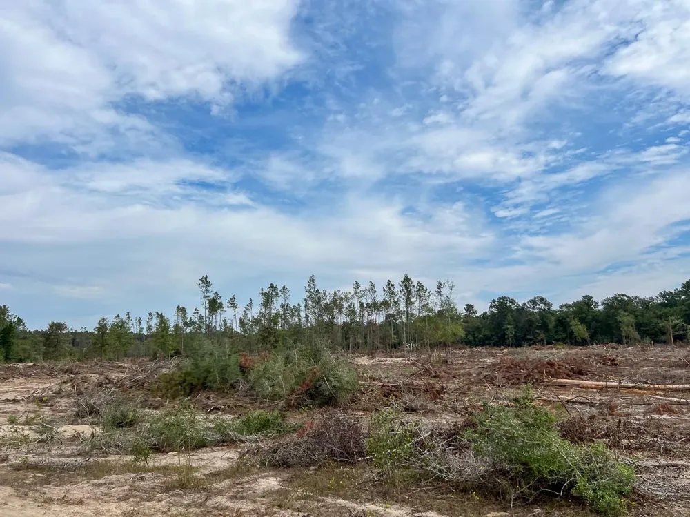 2 Fm 1416 Kirbyville, TX 75933