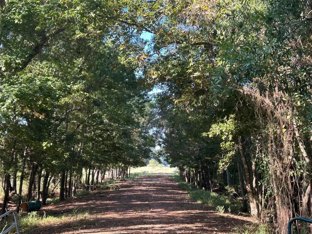 61 Minnie West Drive Hull, TX 77564