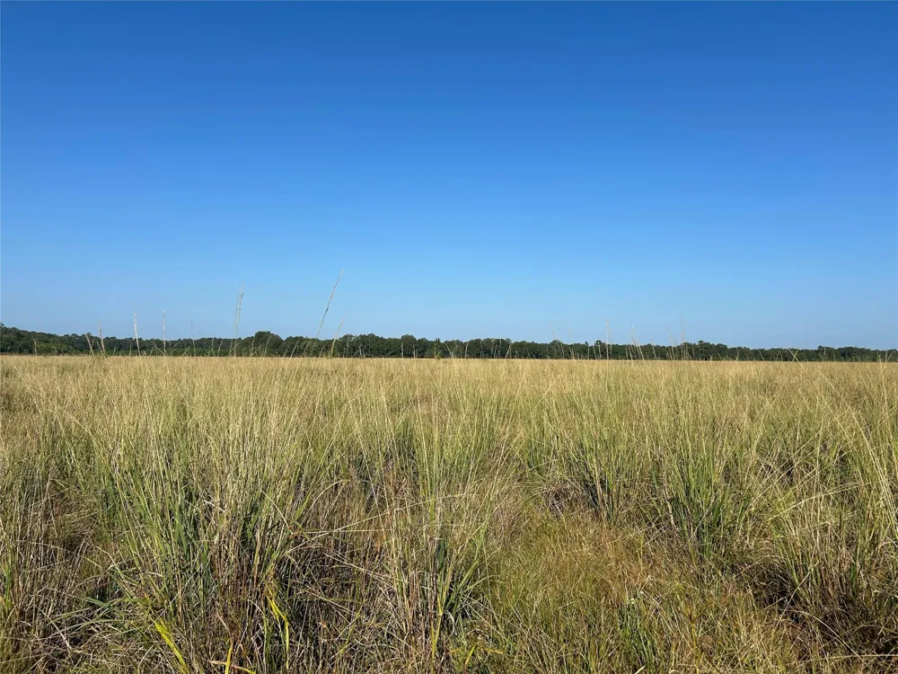 61 Minnie West Drive Hull, TX 77564