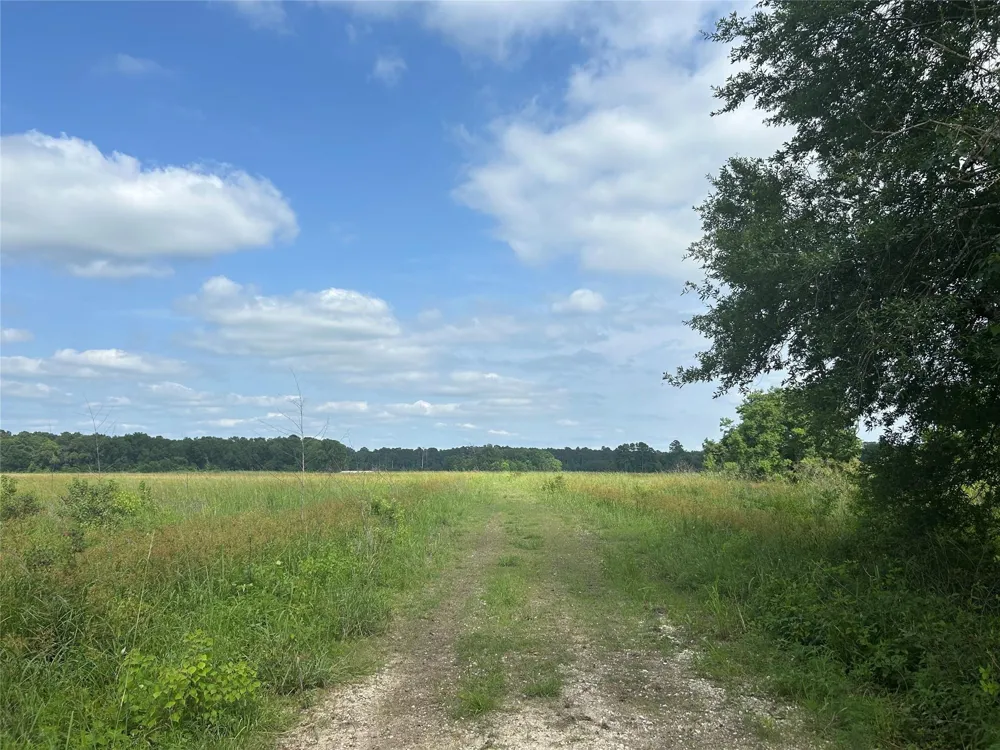 61 Minnie West Drive Hull, TX 77564