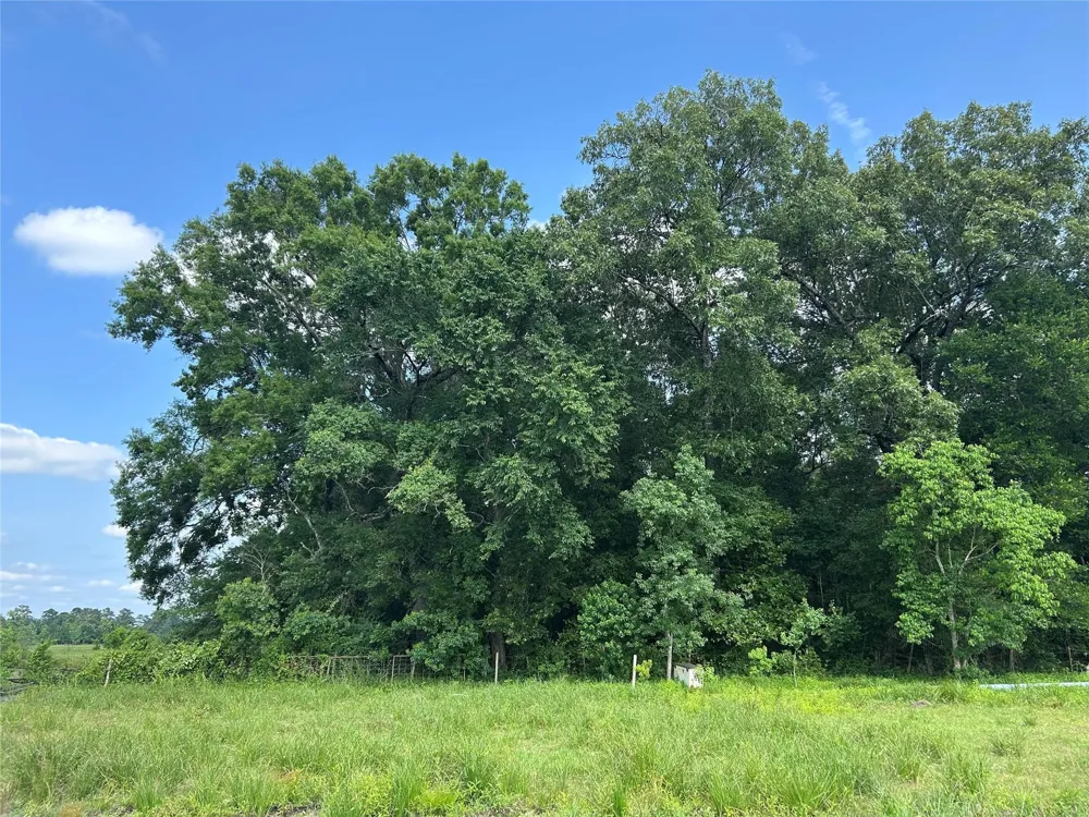 61 Minnie West Drive Hull, TX 77564