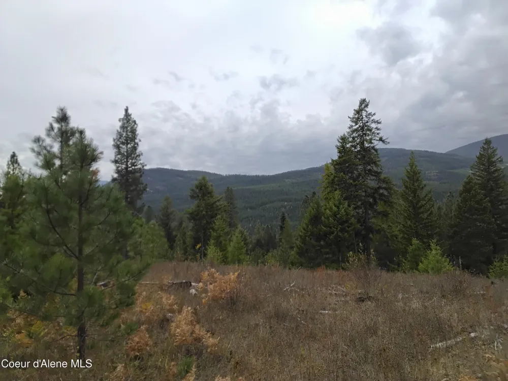 NKA-292 Ac Highway 2 Moyie Springs, ID 83845