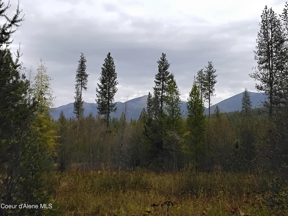 NKA-292 Ac Highway 2 Moyie Springs, ID 83845