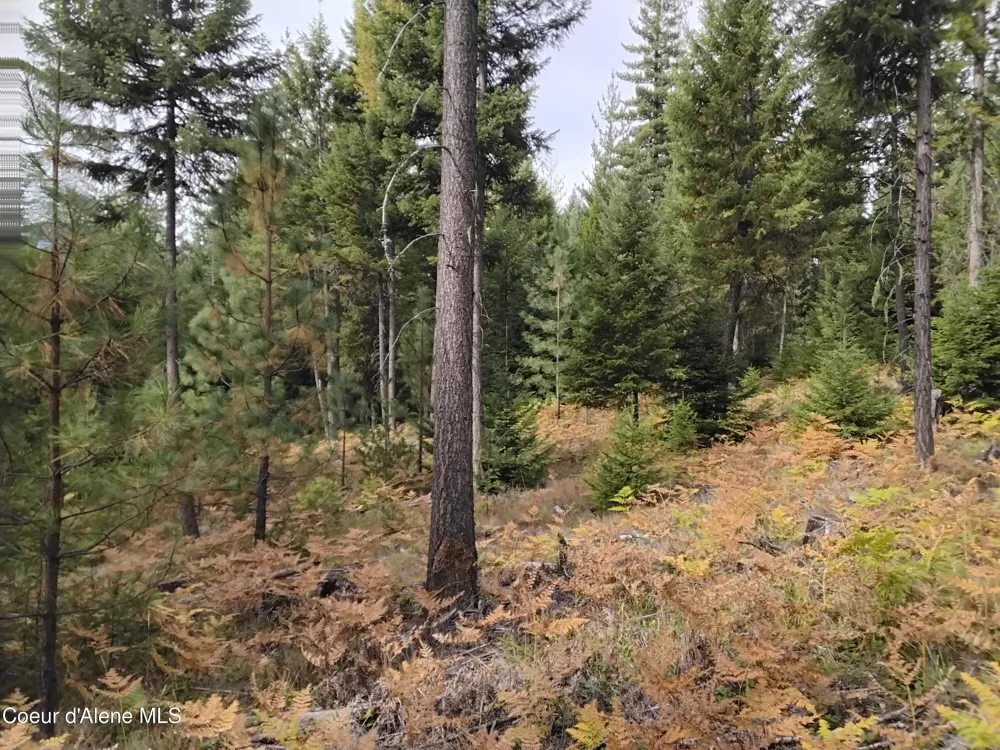 NKA-292 Ac Highway 2 Moyie Springs, ID 83845
