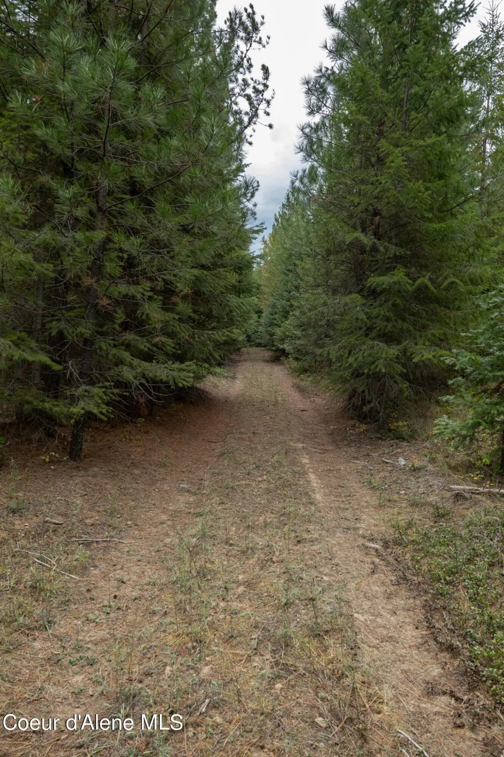 NKA-292 Ac Highway 2 Moyie Springs, ID 83845