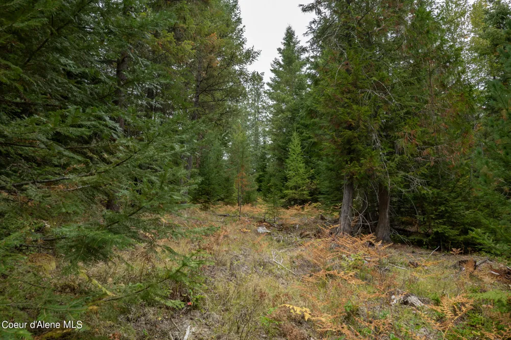 NKA-292 Ac Highway 2 Moyie Springs, ID 83845