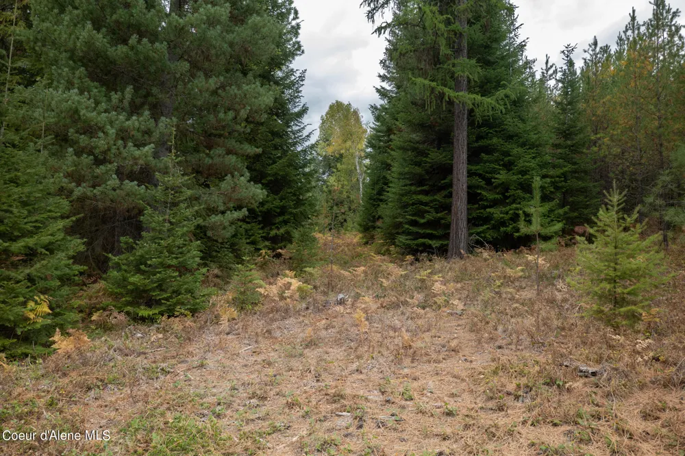 NKA-292 Ac Highway 2 Moyie Springs, ID 83845