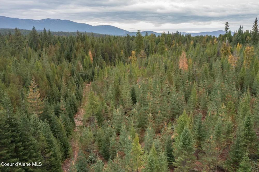 NKA-292 Ac Highway 2 Moyie Springs, ID 83845