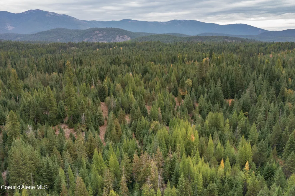 NKA-292 Ac Highway 2 Moyie Springs, ID 83845