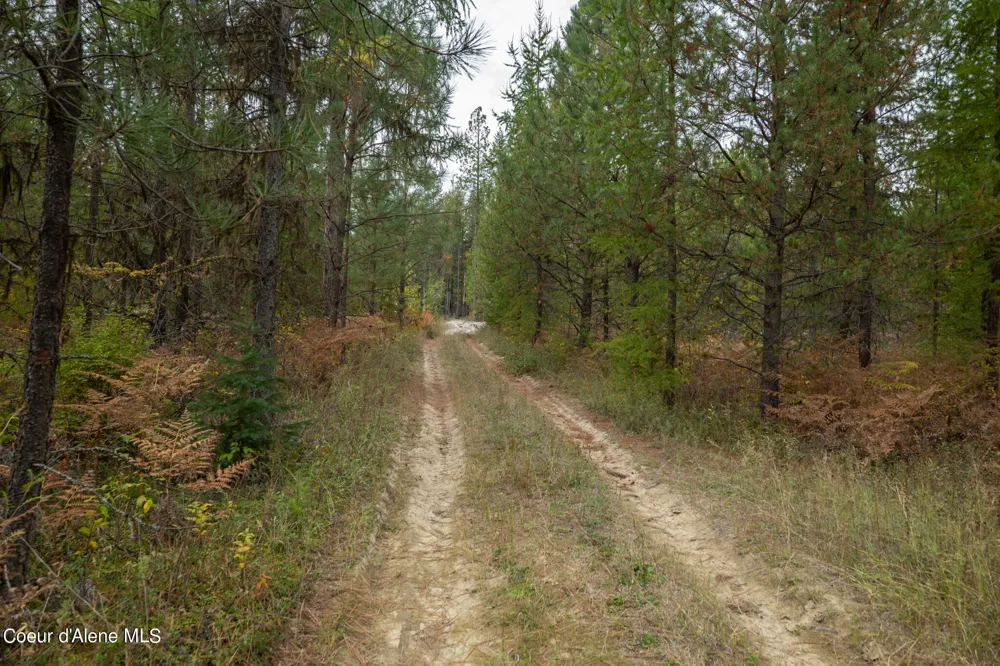 NKA-292 Ac Highway 2 Moyie Springs, ID 83845