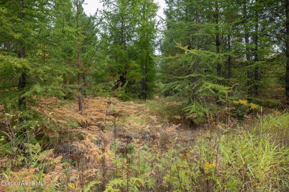 NKA-292 Ac Highway 2 Moyie Springs, ID 83845