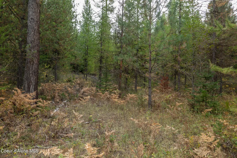 NKA-292 Ac Highway 2 Moyie Springs, ID 83845