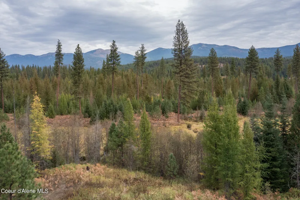NKA-292 Ac Highway 2 Moyie Springs, ID 83845