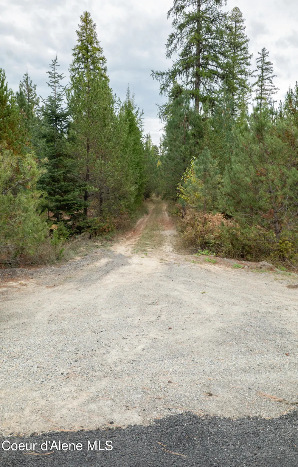 NKA-292 Ac Highway 2 Moyie Springs, ID 83845