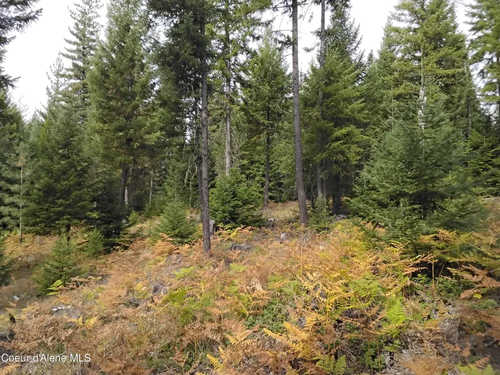 NKA-292 Ac Highway 2 Moyie Springs, ID 83845