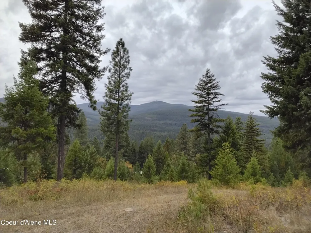 NKA-292 Ac Highway 2 Moyie Springs, ID 83845