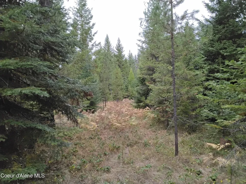 NKA-292 Ac Highway 2 Moyie Springs, ID 83845
