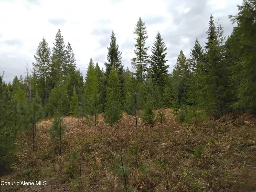 NKA-292 Ac Highway 2 Moyie Springs, ID 83845