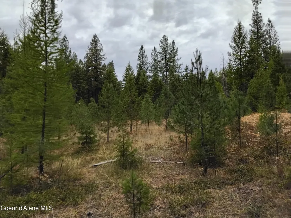 NKA-292 Ac Highway 2 Moyie Springs, ID 83845