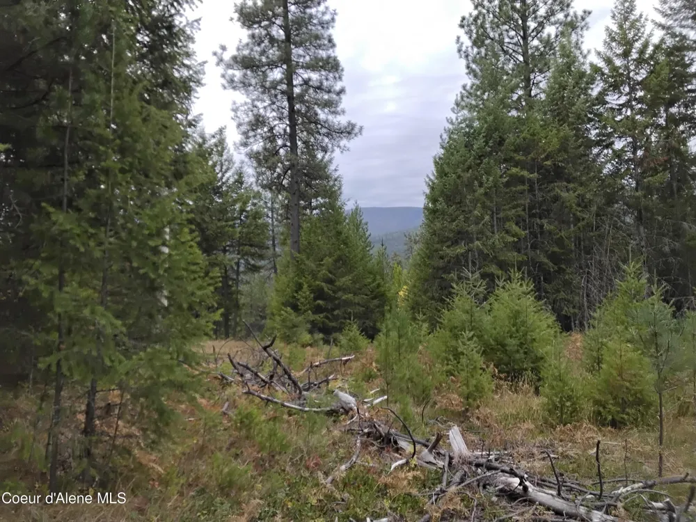 NKA-292 Ac Highway 2 Moyie Springs, ID 83845