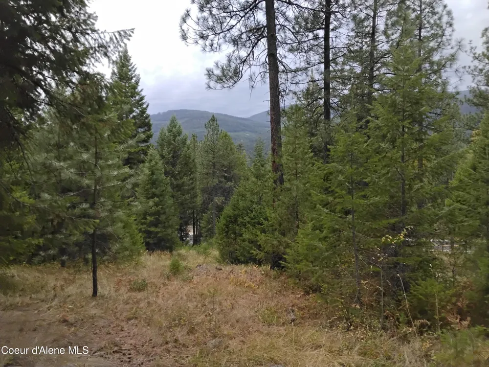 NKA-292 Ac Highway 2 Moyie Springs, ID 83845