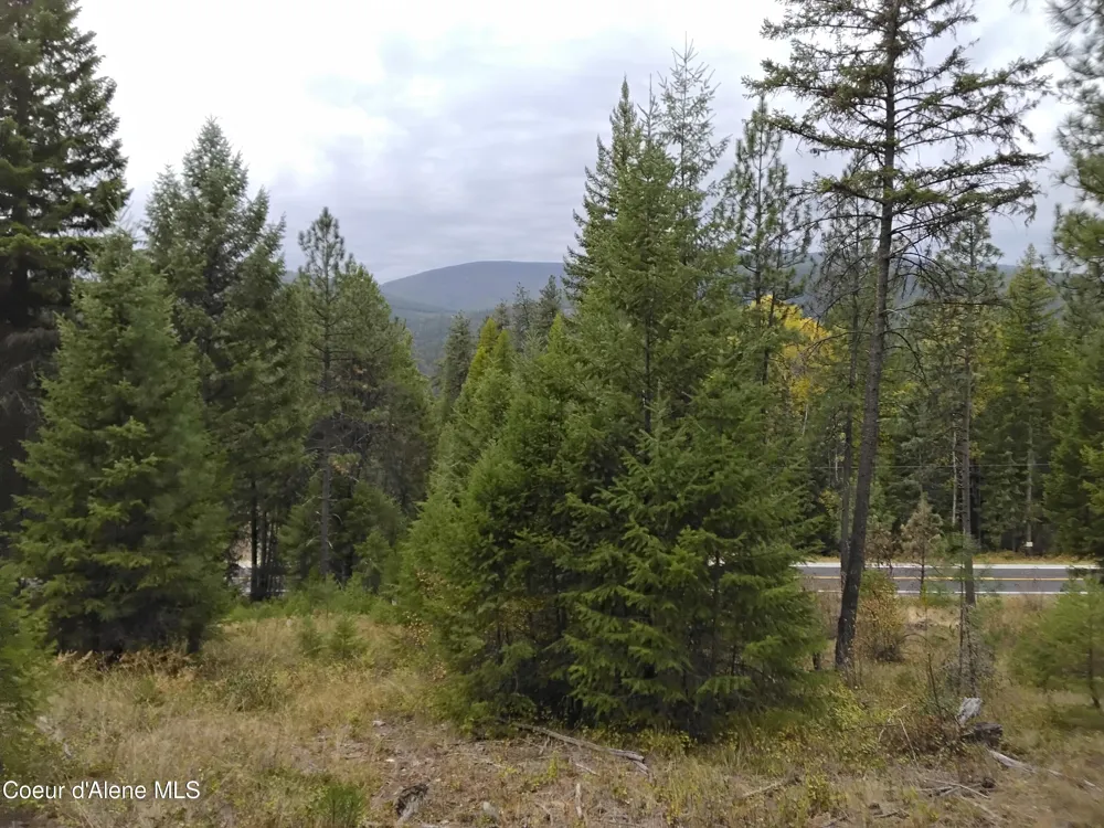 NKA-292 Ac Highway 2 Moyie Springs, ID 83845