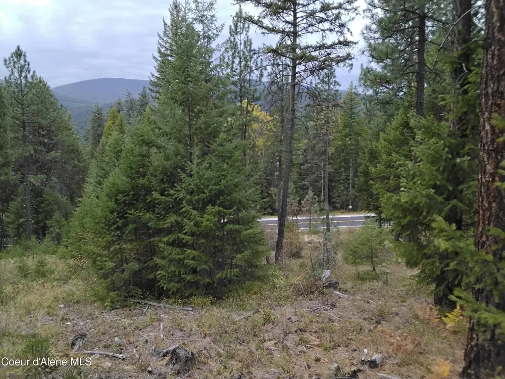 NKA-292 Ac Highway 2 Moyie Springs, ID 83845