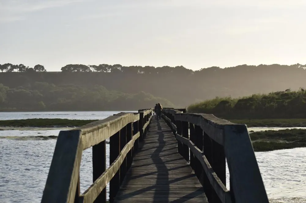 967 Salinas Road Royal Oaks, CA 95076